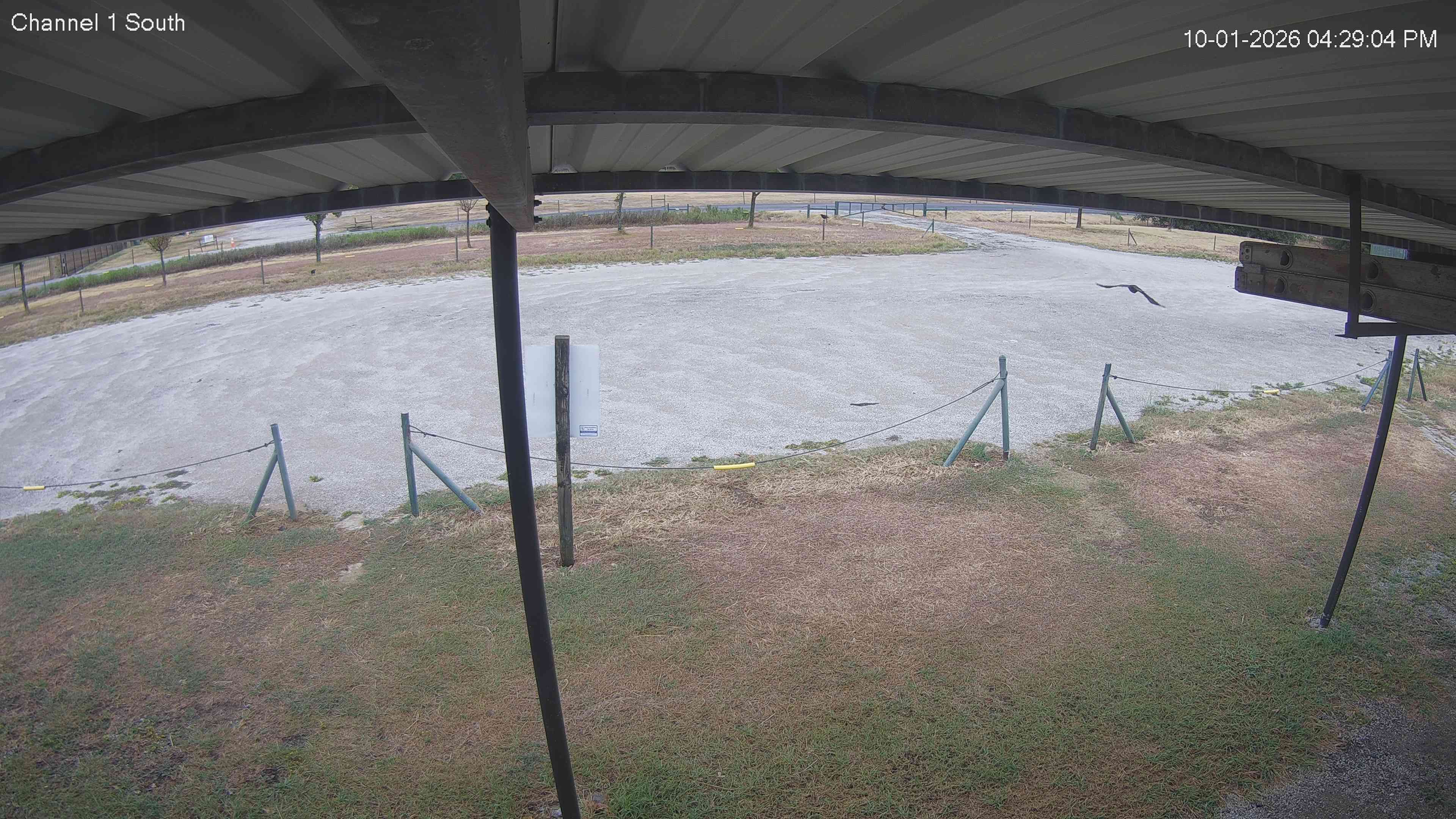 Camera 1